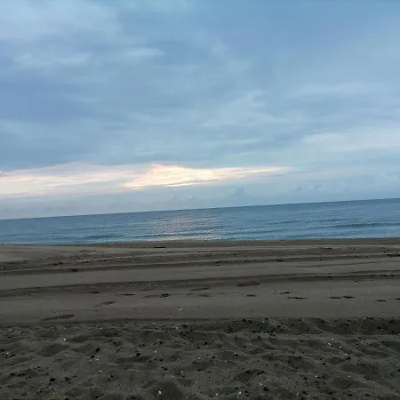 Ivet Guest - * Obzor