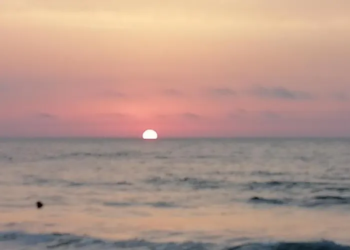 Ivet Guest - 招待所 *