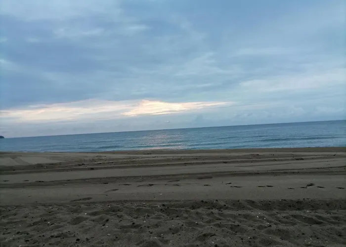 Ivet Guest - * 奥布佐尔