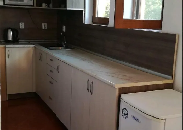 Ivet Guest - 招待所